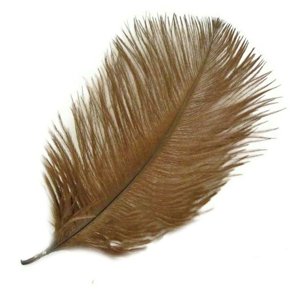 Coffee Brown Ostrich Feather