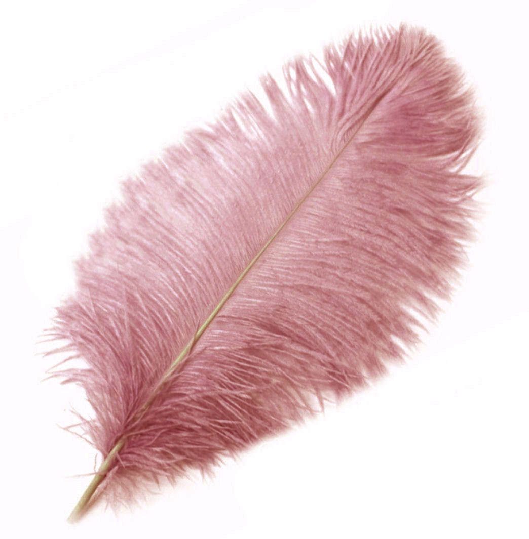 Dusky Rose Pink Ostrich Feather