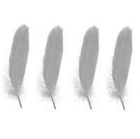 Goose Satinette Feathers in Silver Grey x 10