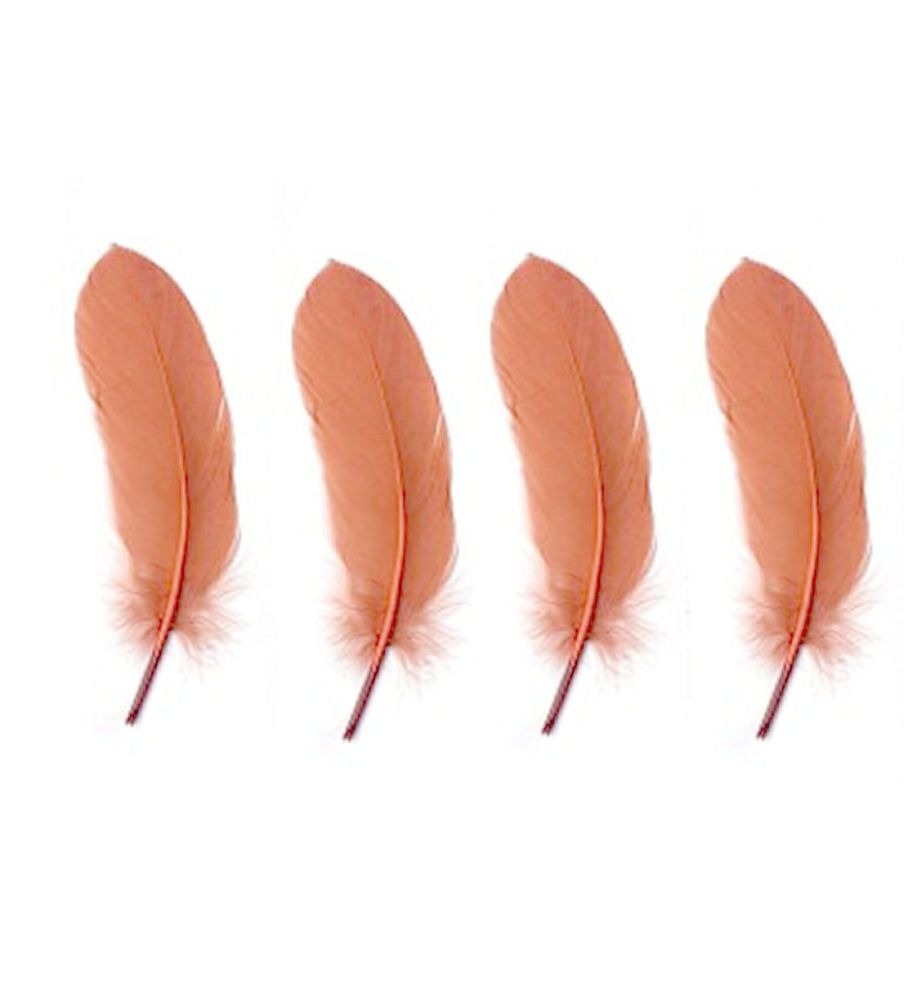 Goose Satinette Feathers in Cinnamon x 10