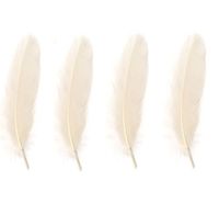 Goose Satinette Feathers in White