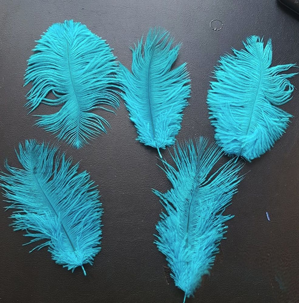 Deep Turquoise Blue Ostrich Feather x 5 Seconds