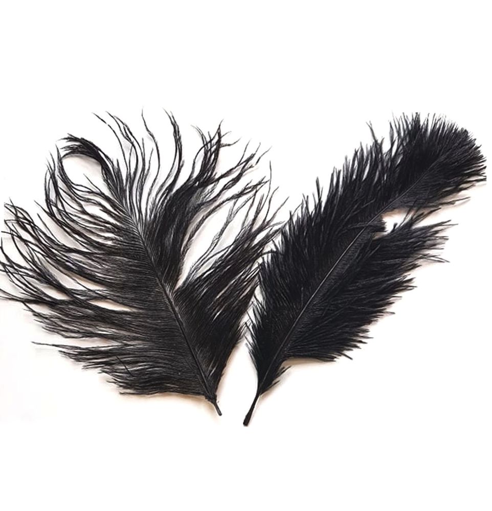 Black Ostrich Feather x 5 Seconds