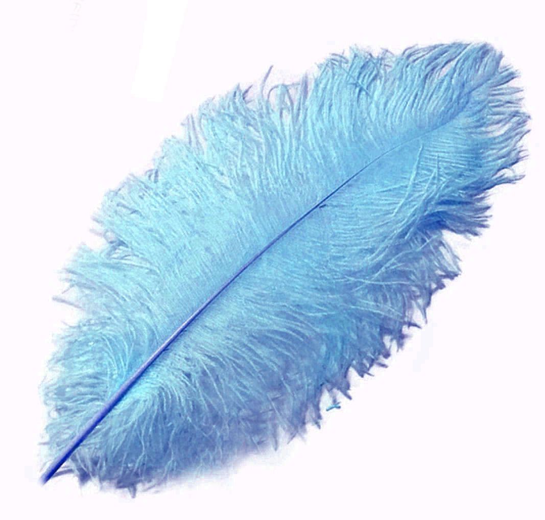 Ostrich Feathers, 100 Pieces 8-10 Turquoise Blue Ostrich Dyed Drab Body Wholesale  Feathers bulk : 2042 -  Denmark