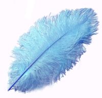 Pale Blue Ostrich Feather