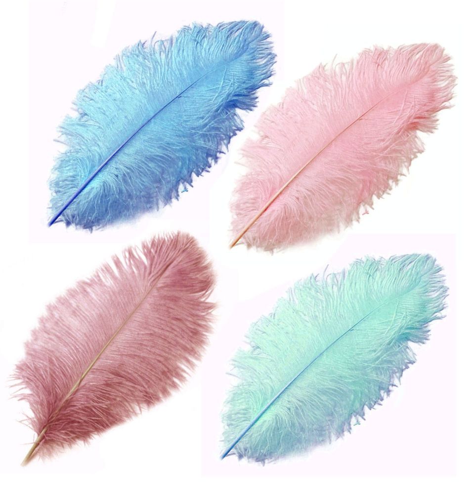 Pink and blue ostrich feathers