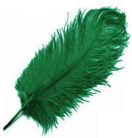 Dark Green Ostrich Feather