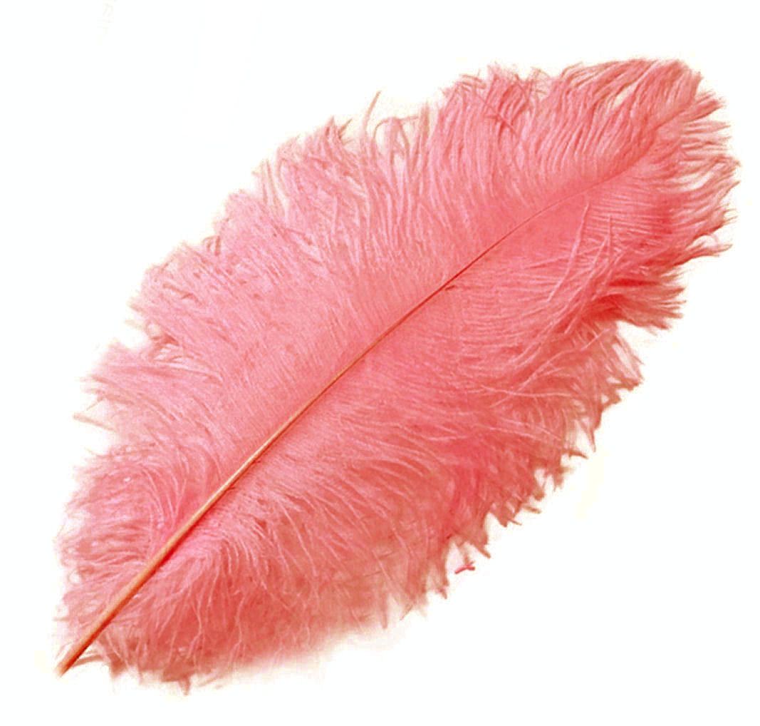 Coral Pink Ostrich Drab Feathers | Feather Planet
