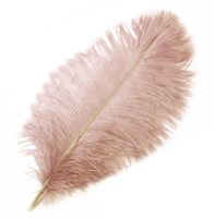 Pale Dusky Beige Pink Ostrich Feather