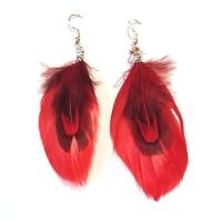 Red Feather Earrings with Goose and Ringneck Feathers