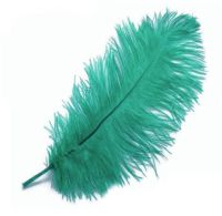Teal Ostrich Feather