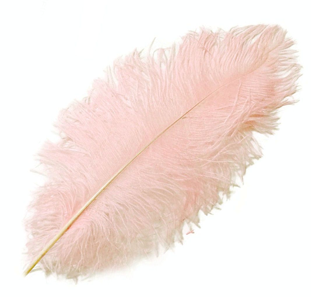 Pale Baby Pink Ostrich Feather