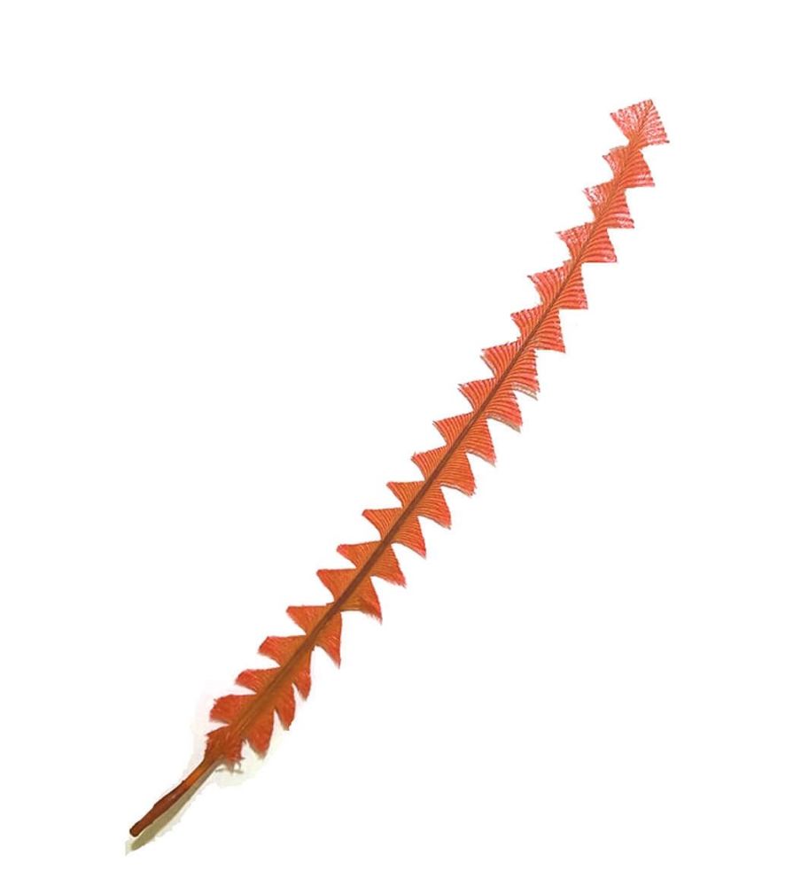 Orange Ostrich Feather Long Trimmed Zig Zag Cut