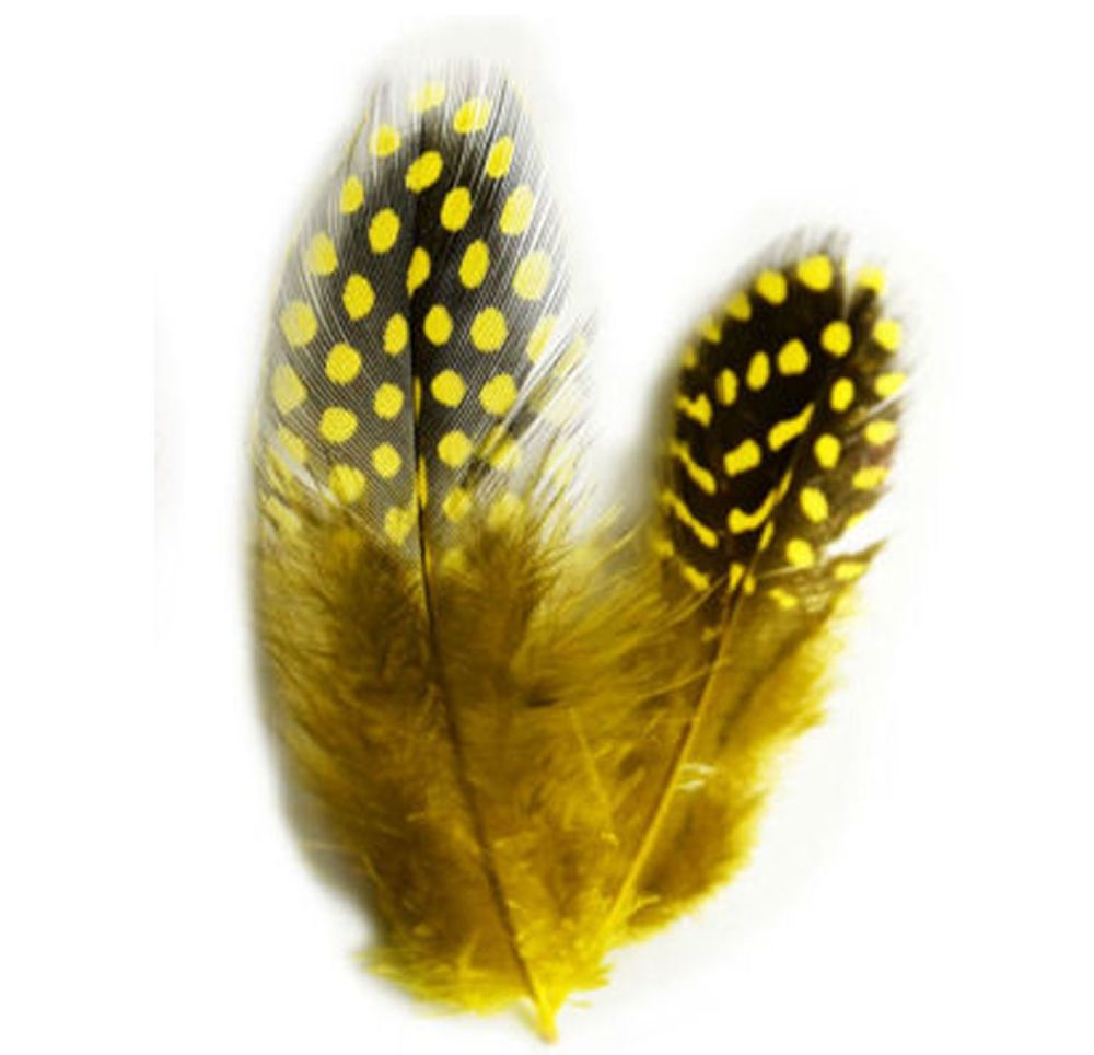 Yellow Guinea Feathers (Spotty) 2 to 4 inches