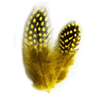 Yellow Guinea Feathers (Spotty) 1 to 3 inches