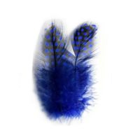 Royal Blue Guinea Feathers (Spotty) 1 to 3 inches