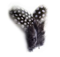 Charcoal Grey Guinea Feathers (Spotty) 1 to 3 inches