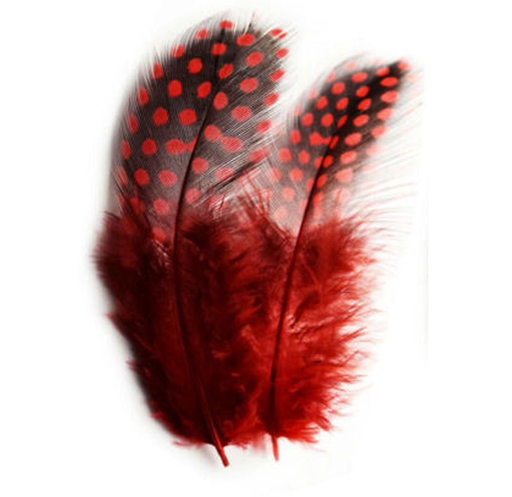 Red Guinea Feathers (Spotty) 1 to 3 inches