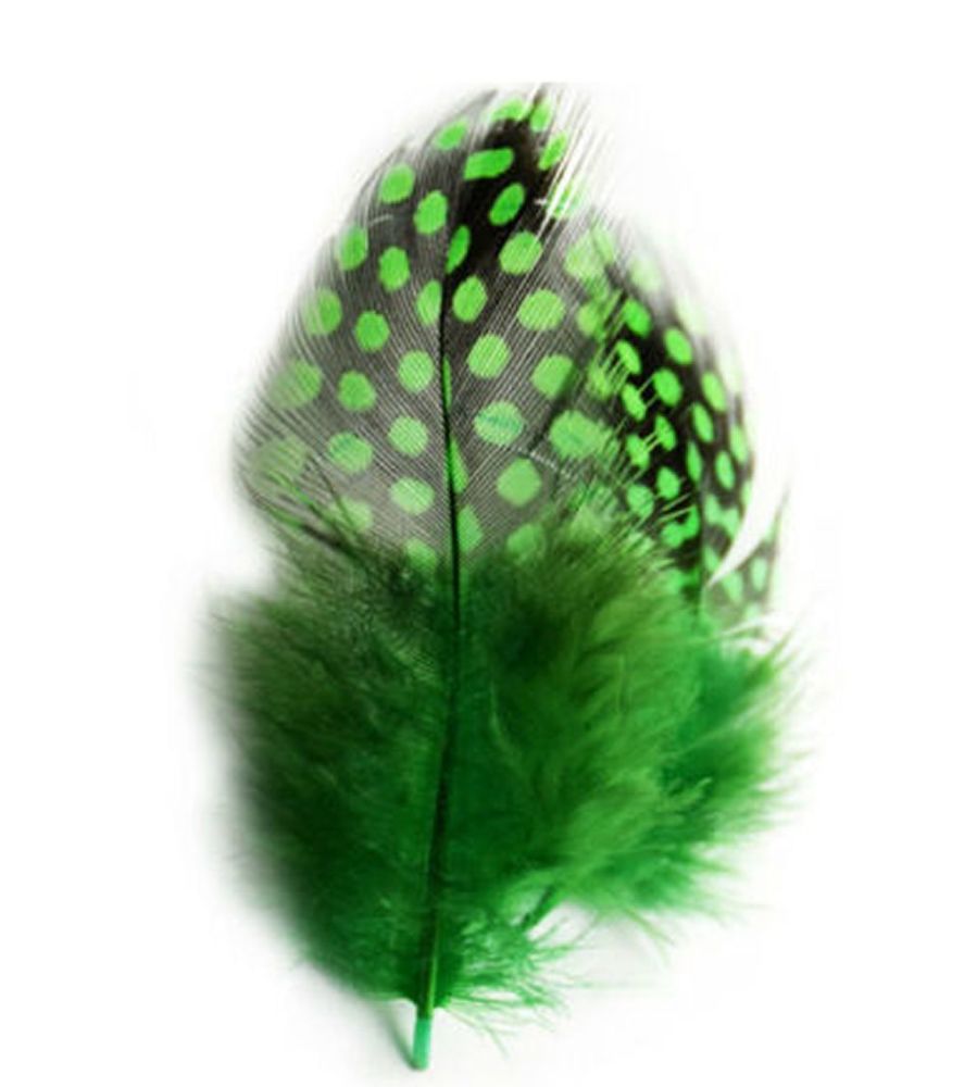 Green Guinea Feathers (Spotty) 1 to 3 inches