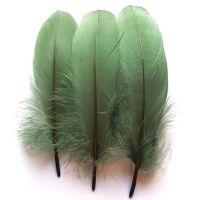 Olive Moss Green Parried Goose Pallette Feathers x 5