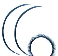 Navy Blue Goose Biot Feather x 1