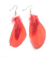 Coral Feather Earrings with Guinea Feathers