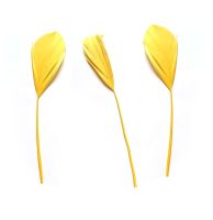 Egg Yolk Yellow Feathers Stripped Coque Style