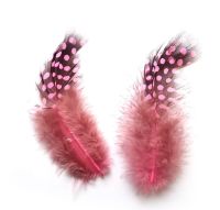 Pink Guinea Feathers (Spotty) 1 to 3 inches