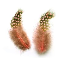 Peach Guinea Feathers (Spotty) 1 to 3 inches