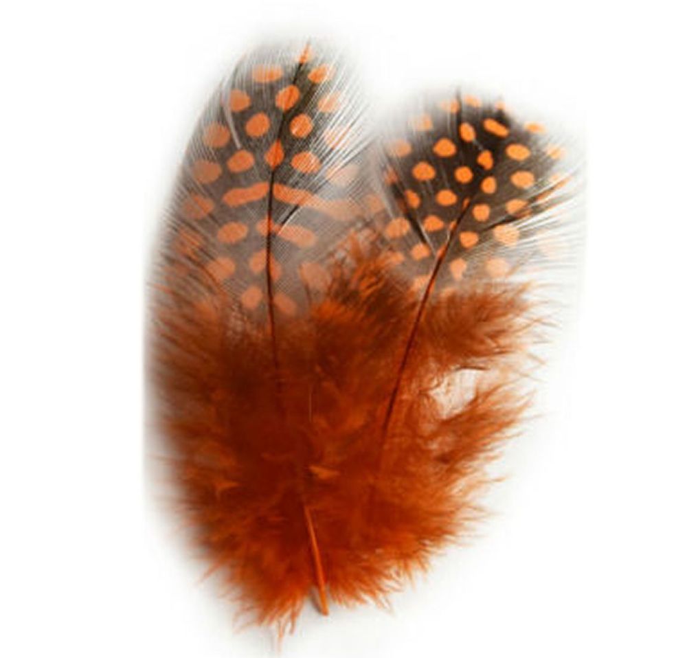 Orange Guinea Feathers (Spotty) 1 to 3 inches