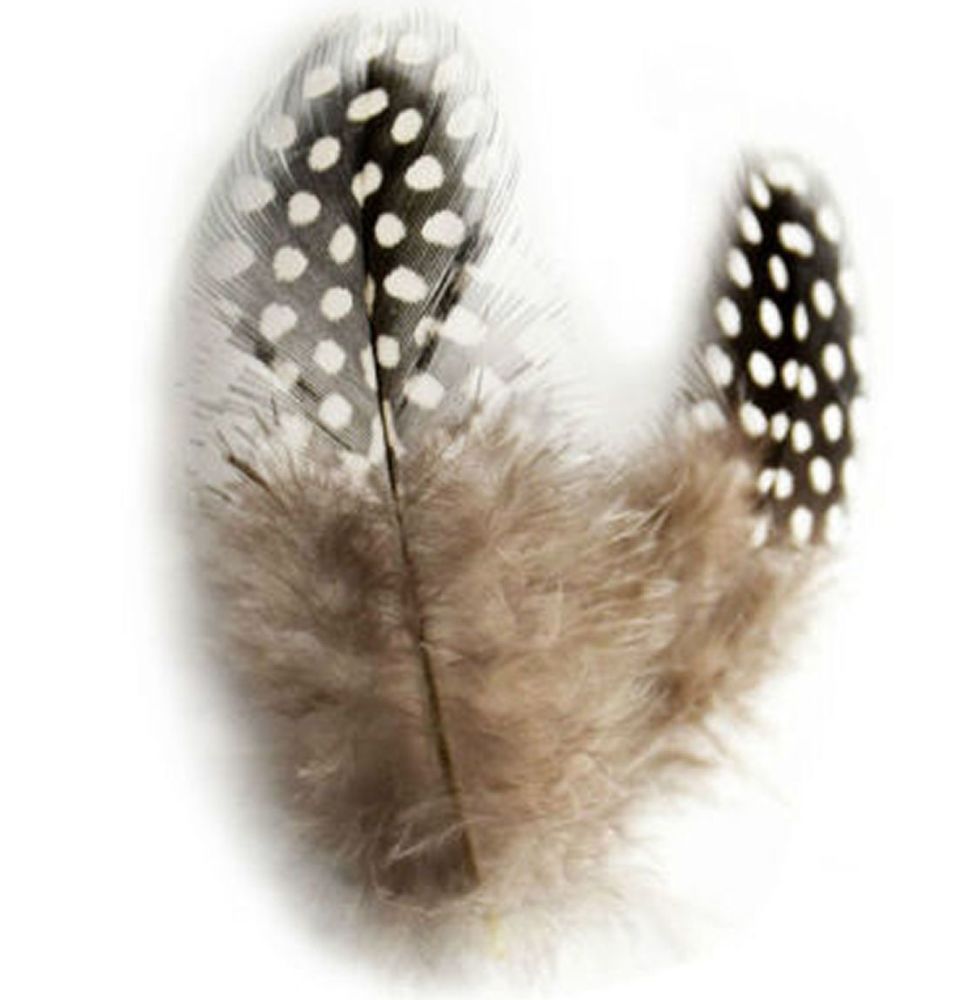 Natural Guinea Feathers (Spotty) 1 to 3 inches