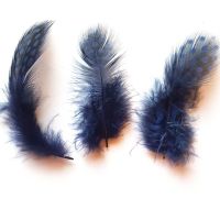 Navy Blue Guinea Feathers (Spotty) 1 to 3 inches