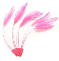 Pink Orient Rooster Feathers Hackles Stripped x 8