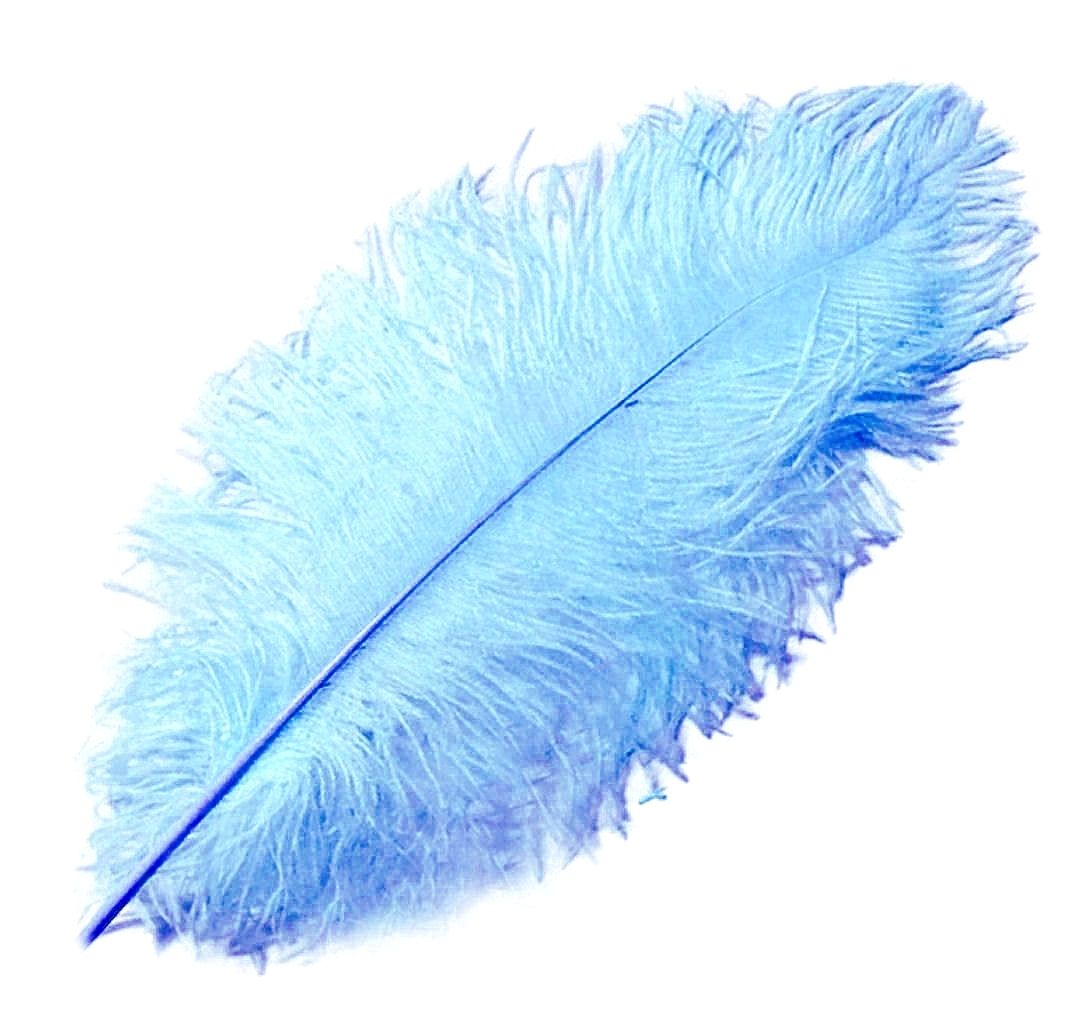10-200 pcs high-quality natural ostrich feathers 6-24 inch/15-60cm Royal blue