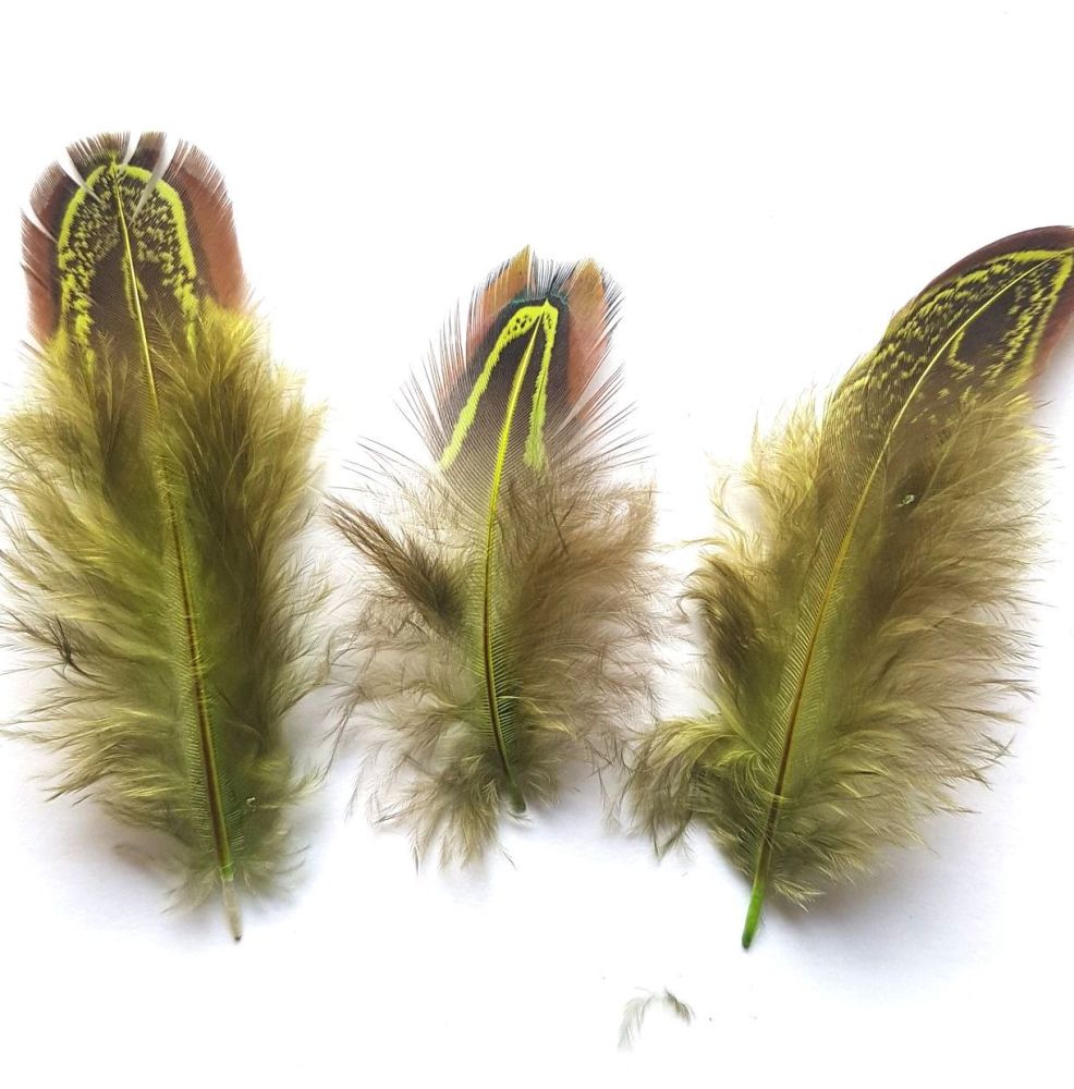 Olive Green Feather, Almond Ringneck Feather