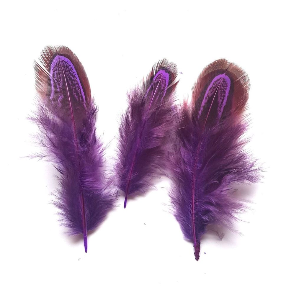  Purple Feather