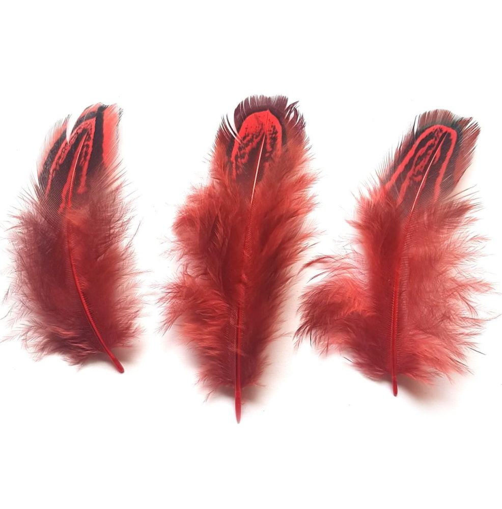 Red Feathers, Almond Ringneck Feather