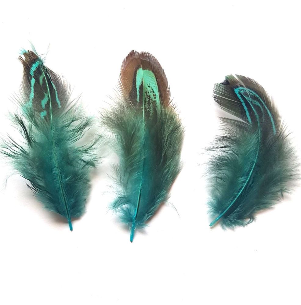 Aqua Blue Feathers, Almond Ringneck Feather