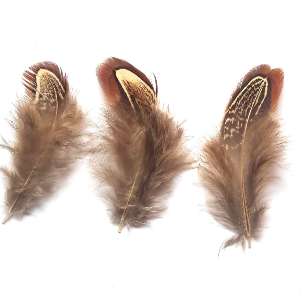KOLIGHT 2 Metri Di Frange In Piume Naturali Di Gallo - Larghezza 12-17 Cm, Marrone Chiaro, Per Decorazioni Fai Da Te E Costumi