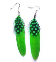 Lime Green Goose and Guinea Feather Earrings