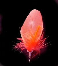 Coral Feather Buttonhole
