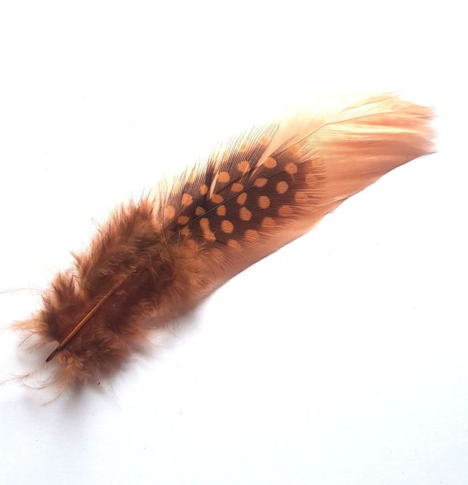 Cinnamon Decorative Hat Feather Brooch