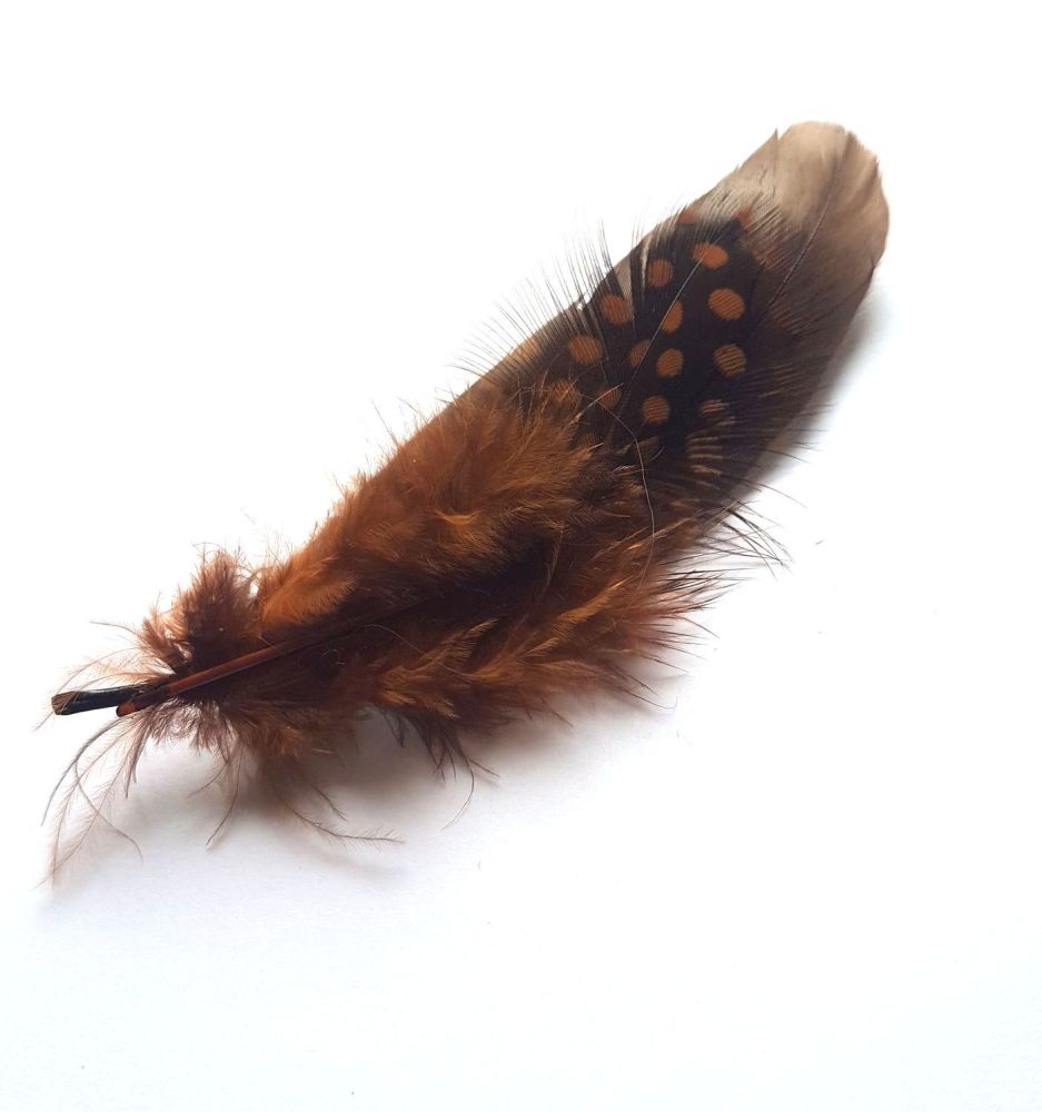 Brown Decorative Hat Feather Brooch