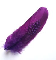 Plum Purple Decorative Hat Feather Brooch