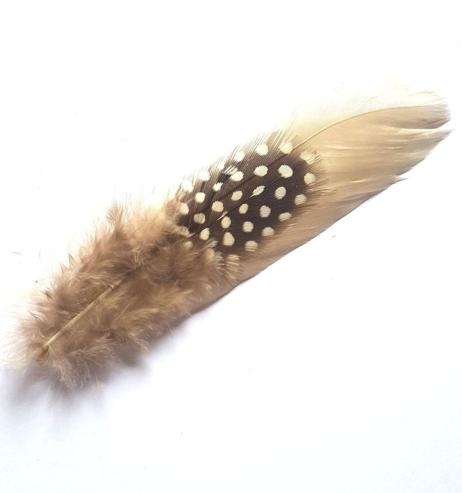 Beige, Ivory and White Decorative Hat Feather Brooch