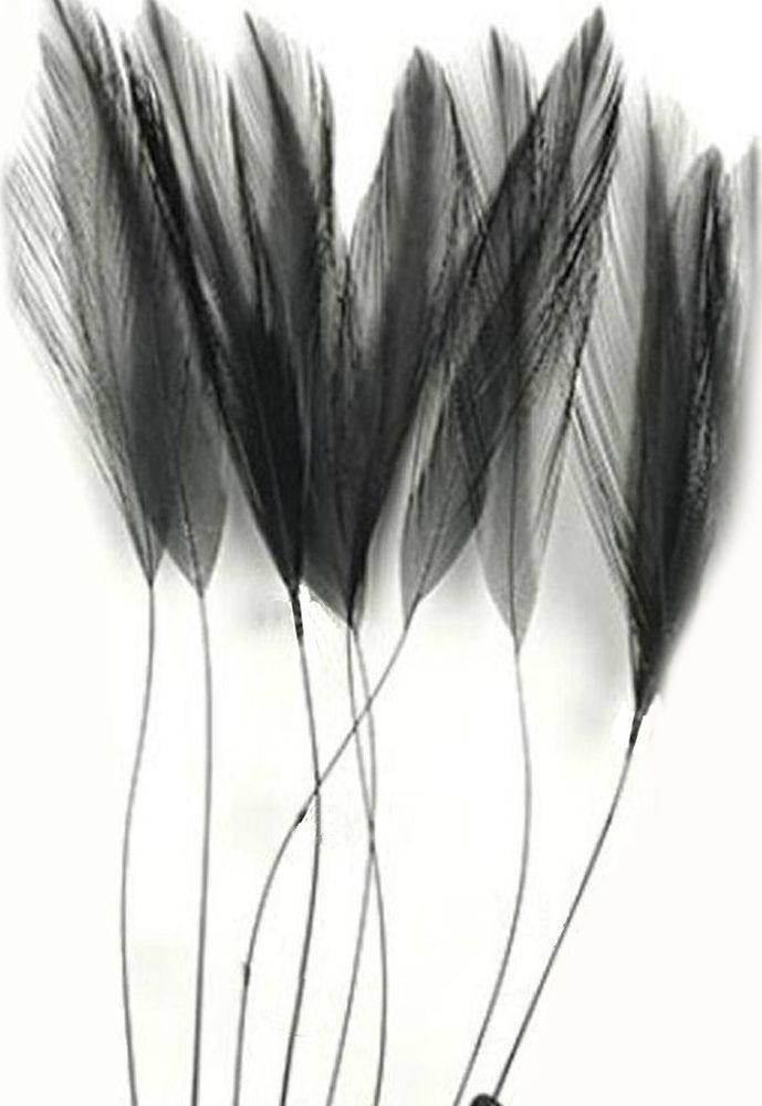 Black Rooster Feathers Hackles Stripped x 8