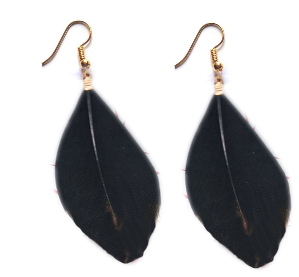 Black Goose Feather Earrings with Gold Earring