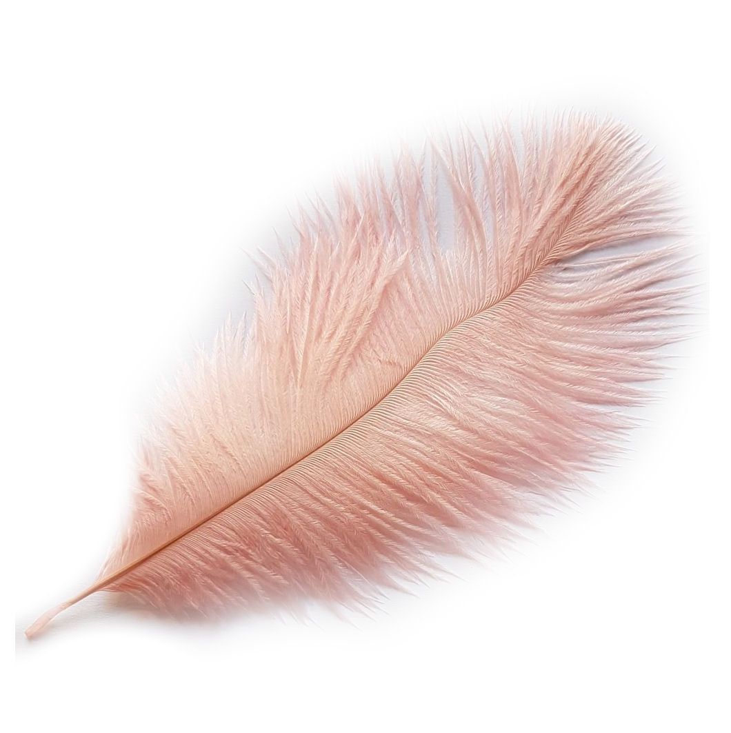 Shell Pink Ostrich Feather