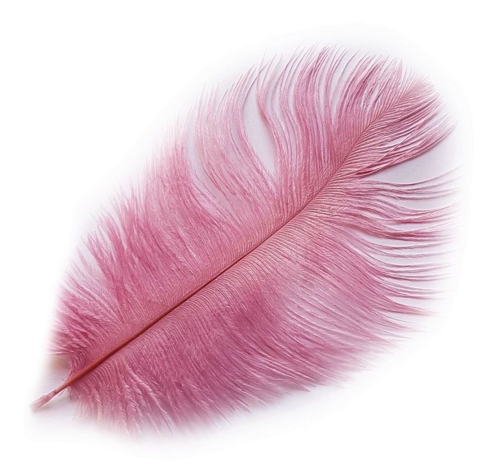 Powder Pink Ostrich Feather