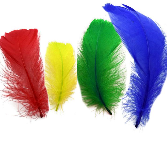 Goose Coquille Feathers Assorted Primary Mix x 25